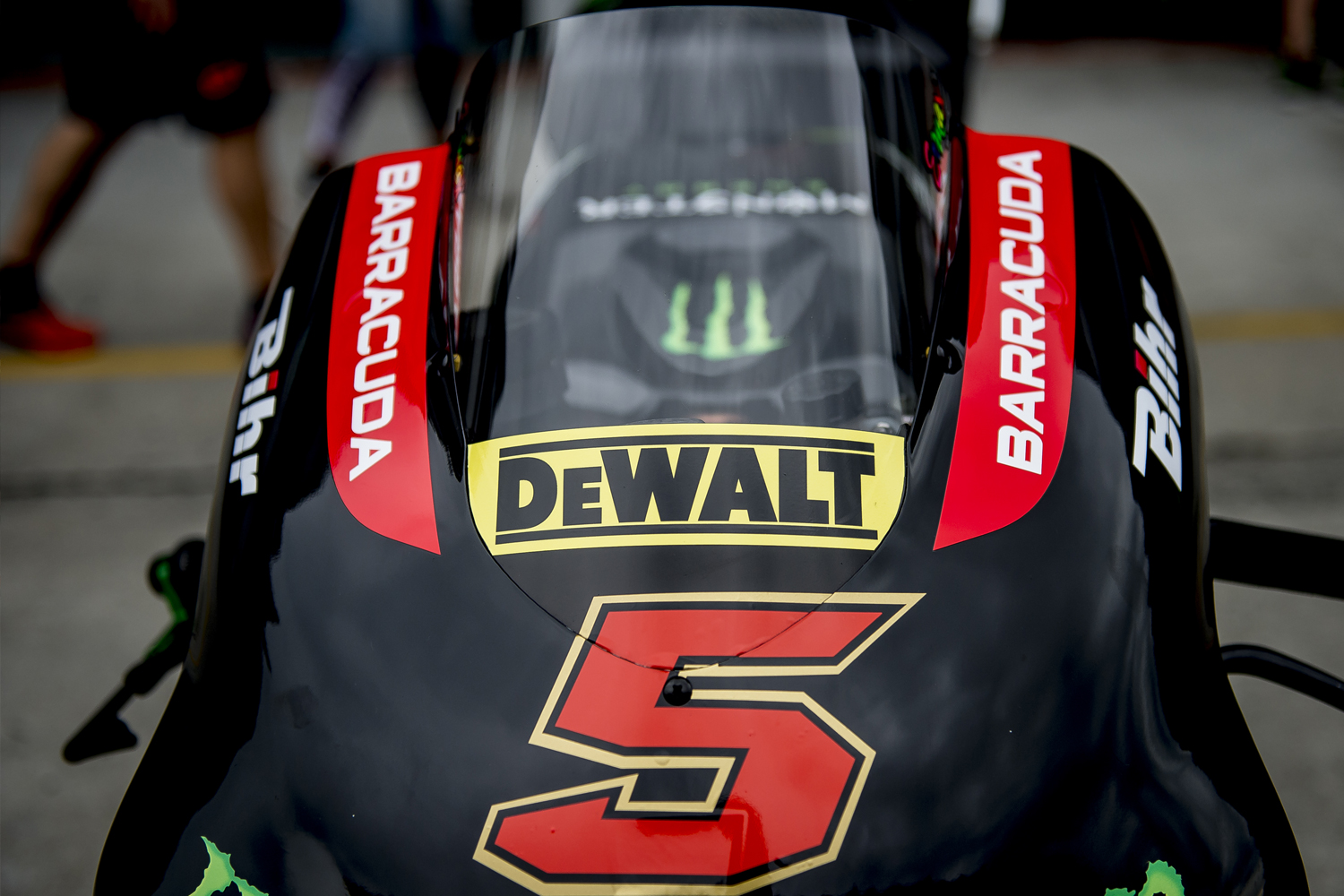 Immagine 3